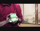 【高画質】Flamingoを録ってみた。