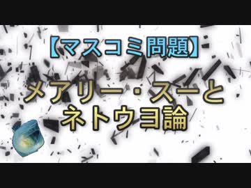 【マスコミ問題】メアリー・スーとネトウヨ論