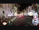 【東北イタコ車載】　2018年末ツーリング　秩父方面とか？