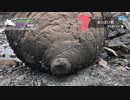 Luxury Rider 098 平成最後の夏～九州へ Part.3 高千穂熊本天草編【紲星あかり車載】