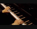 『Initial Song』を弾いてみた/なつ