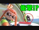 【VIP目指して】崖に向かって飛び降りる男　#10【スマブラSP】