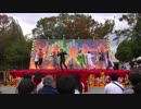 [2018秋]「踊る細胞」　in 大阪府大1/4 [GOD団]