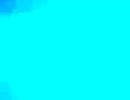 瀕死の親クジラ先輩.unko