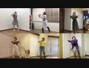 【teamCattleya】ハッピーシンセサイザ【踊ってみた】