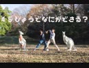 【こりまり】45秒【踊ってみた】