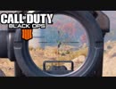 【CoD:BO4】チームなのに別行動して勝てるのか【BLACKOUT】