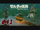 【ゼルダ実況】ホシをパクるのがわたくしGAWARAの仕事ですから  #41 【ゼルダの伝説ブレスオブザワイルド】