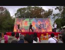 [2018秋]「踊る細胞」　in 大阪府大2/4 [GOD団]