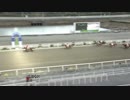 2018年12月28日高知競馬5R ｎｅｔｋｅｉｂａ協賛 稲富＆天童で帯封特別(C1-6組) ホスト