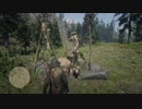 Red Dead Redemption 2 レッドデッドリデンプション２ オンライン 宝の地図