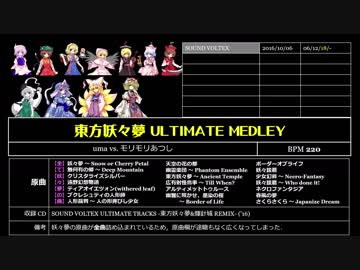 ゲーセンで遊べる東方曲 2018 (3/8)