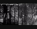 【初音ミク】哀艶と成る骸、千に流離う残り香