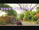 【一年を振り返りながら】　ピースサイン　踊ってみた　【ちかのとかげ】