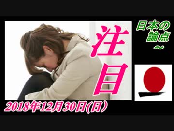 22-A 桜井誠、オレンジラジオ日本の論点 ～菜々子の独り言　2018年12月31日(月）