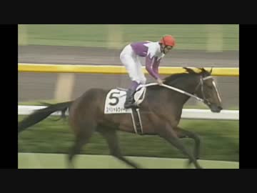 【競馬】　２０１８年　亡くなった名馬たち