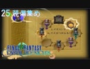 FINAL FANTASY CRYSTAL CHRONICLES scene 25 装備集め 1080p