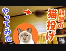 投げるならコレくらいはブン投げましょう！本気で投げてみた