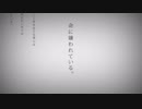 【歌ってみた】命に嫌われている。 / コヤマアキヲ
