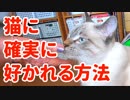 猫の気持ち全て教えます！こうすれば確実に懐きます
