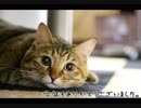 今年もありがとうございました。