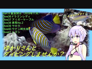 【慶良間④（沖縄県）】ゆかりさんとダイビングしませんか？