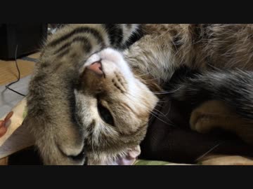 ＃57　来年もよろしくお願いします