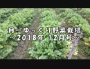 月一 ゆっくり野菜栽培 2018年12月号