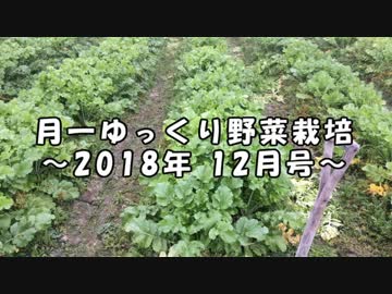月一 ゆっくり野菜栽培 2018年12月号