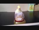 イノシシを始末して2019年を酉年に！