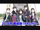 2018年踊ってみたメドレー【風組】