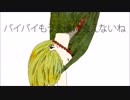 もう一回「ドーナツホール」を歌った。【DECOTA】