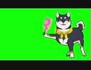 羽つきで遊ぶ黒井しばGB