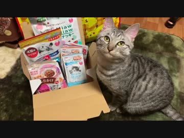 【2019】シャロに福袋買ってみた【あけおめ！】