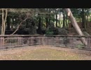 ✞『架撫』glow 踊ってみた 【オリジナル振付】〖1周年〗