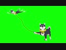 凧揚げ黒井しばGB