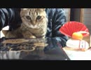＃58　あけましておめでとうございます。