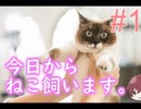 がーひー、ついに猫を飼う。#1【猫飼いシミュレーション】