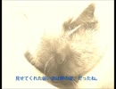 【カラプロ】 君へ... 【off vocal】