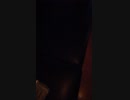 【歌ってみた】ハモれてないけど デュェットでglobe①/とうじょうまき