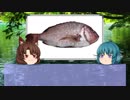 【ゆっくり解説】ゆっくりわかさぎ姫が教える魚　#４匹目　~鯛~