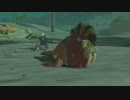 #14【縛り実況】軽めに縛ってハイラルを駆ける【ゼルダの伝説　ブレス オブ ザ ワイルド】　
