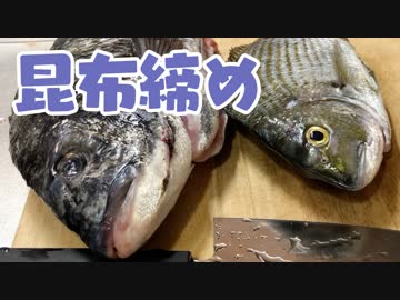 【釣り】クロダイ貰って猫と遊ぶだけ #2【料理】