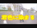【ぽちゃり】君色に染まる【踊ってみた】