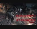 【Bloodborne】新人狩人が通りますよ【Part9】