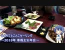 ひとりでとことこツーリング77　～2018年車載主忘年会～