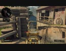【COD BO4】装備頼りの対人戦64【TDM】