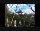 HO散歩　２０１９年１月２日