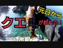 #1【海釣り】元日に釣りしたらクエが釣れた！？【磯でフカセ釣り】
