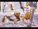 ソウルキャリバー6 俺のキャラのほうが可愛い(ｷﾓｯ
